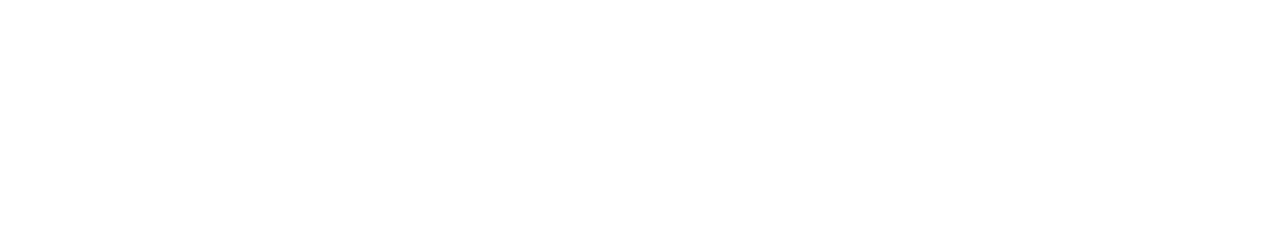 Leadcon